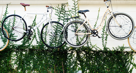 Vintage Bicycles on the wall