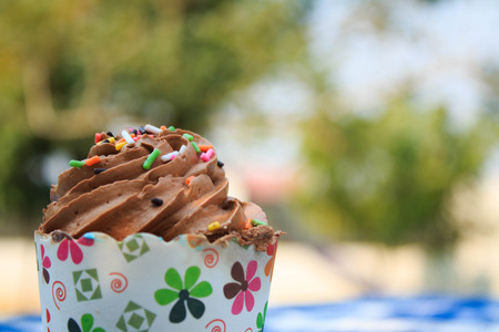 Chocolate Cupcake with creamy chocolate frosting on blue picnic tablecloth in garden.の写真素材