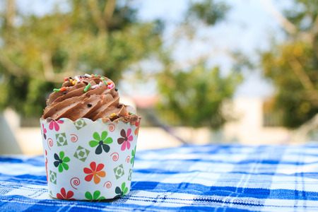 Chocolate Cupcake with creamy chocolate frosting on blue picnic tablecloth in garden.の写真素材