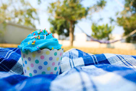 Blue Cupcake with colorful candy on blue picnic tablecloth in garden.の写真素材