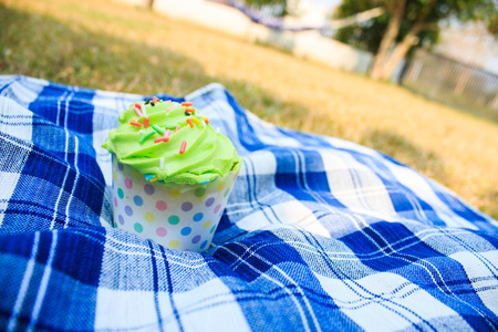 Green Cupcake with colorful candy on blue picnic tablecloth in gardenの写真素材