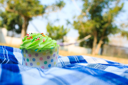 Green Cupcake with colorful candy on blue picnic tablecloth in gardenの写真素材