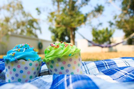 colorful cupcakes with colorful candy on blue picnic tablecloth in garden.の写真素材