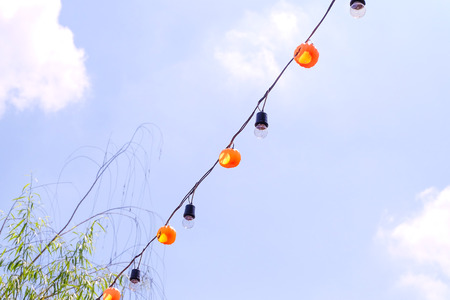 Halloween Lamp hanging ,halloween dayの写真素材
