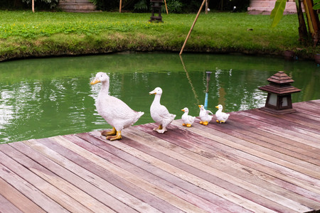 Duck doll in the garden.の写真素材