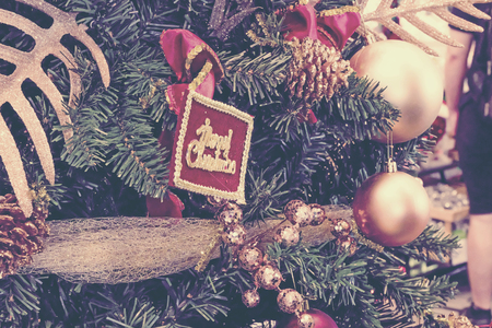 Christmas sign on Christmas tree.の写真素材