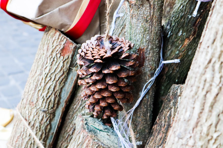 Pine Cone decorated on Christmas tree.の写真素材