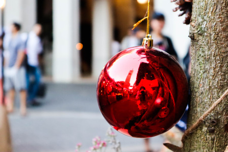 Decorated Christmas tree hanging on  Christmas tree.の写真素材