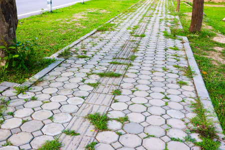 The Cement brick between green grass in garden.の写真素材