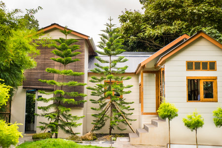Modern wooden house in Deep forest , exterior view.の写真素材
