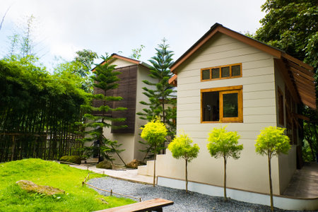 Modern wooden house in Deep forest , exterior view.の写真素材