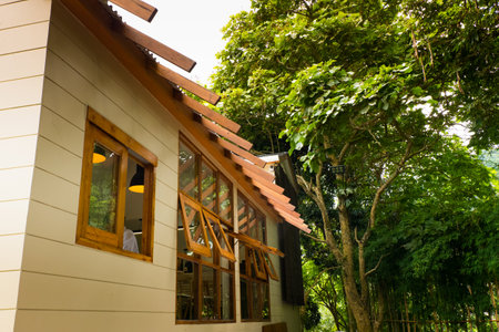 Modern wooden house in Deep forest , exterior view.の写真素材