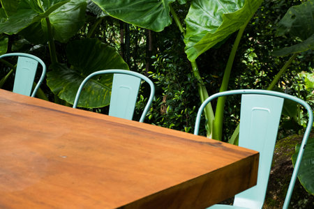 Modern Blue chairs and table in garden.の写真素材