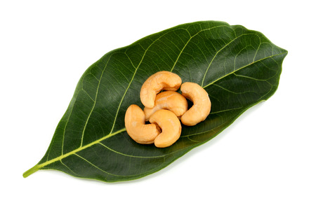  cashew nuts on green leaf isolated on whiteの写真素材