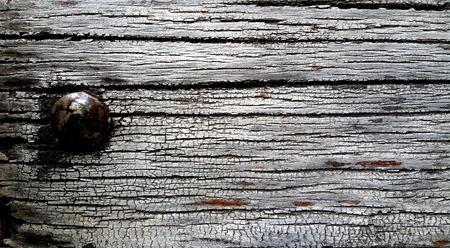 old wood with rusty nailの写真素材