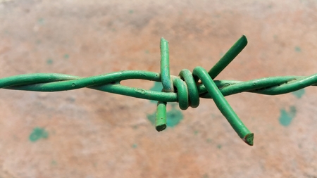 Close up of green color barbed wireの写真素材