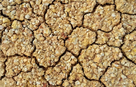 Dry and Cracked ground