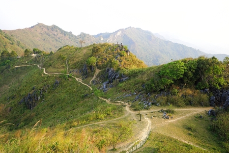 Curved mountain path in the morning at Doi Pha Tang, Chiangrai, Thailand