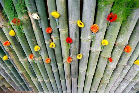 Flowers bacgroundの写真素材