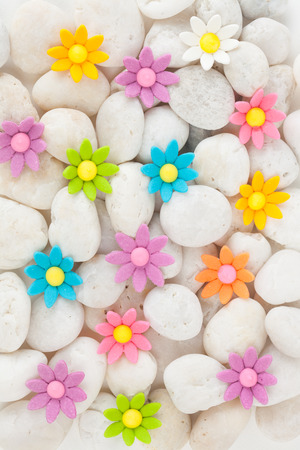 Flowers on white pebbles with white paper backgroundの写真素材
