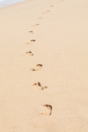 Foot prints on a sandy beachの写真素材