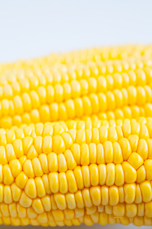 Close up grains of ripe cornの写真素材