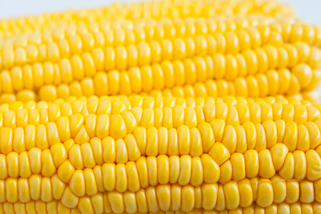 Close up grains of ripe cornの写真素材