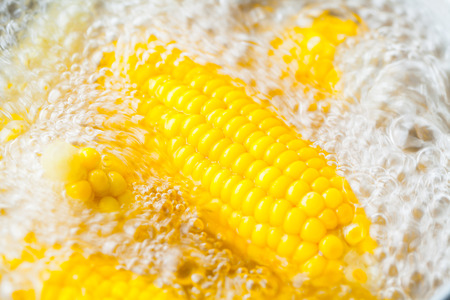 Corn cobs boiling in hot waterの写真素材