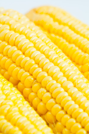 Close up grains of ripe cornの写真素材