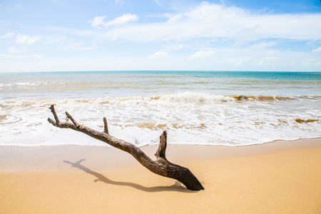 Landscape photo of tranquil island beachの写真素材