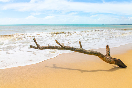 Landscape photo of tranquil island beachの写真素材