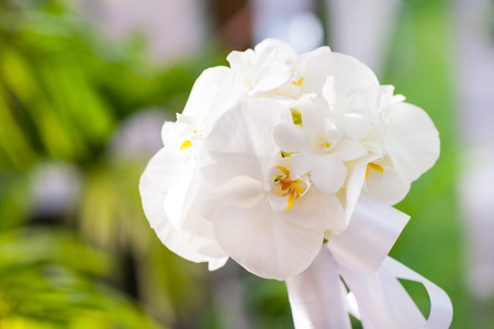 wedding bouquet made from white orchidの写真素材