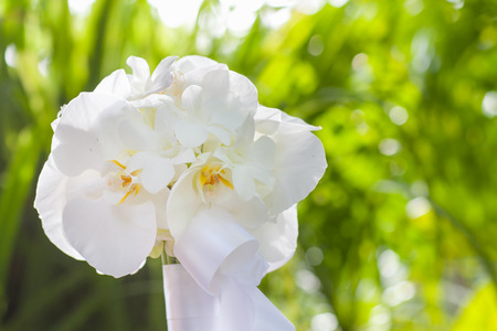 wedding bouquet made from white orchidの写真素材