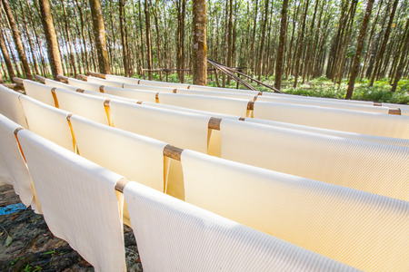 Raw rubber sheetsの写真素材