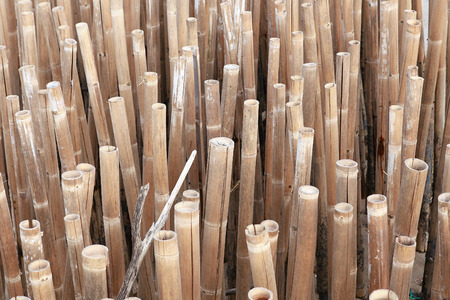 Old bamboo fence protect sandbank from sea wave at Phuket Thailandの写真素材