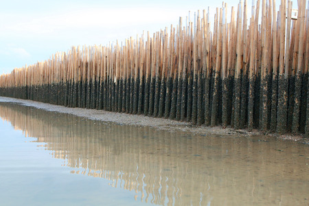 Old bamboo fence protect sandbank from sea wave at Phuket Thailand