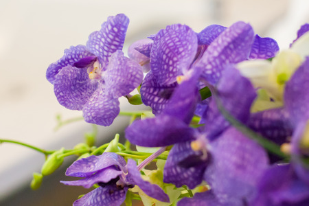 flower bouquet closeup background