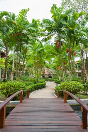 walkway in gardenの写真素材