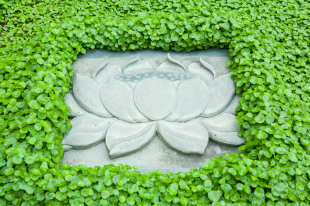 Stone walkway in gardenの写真素材