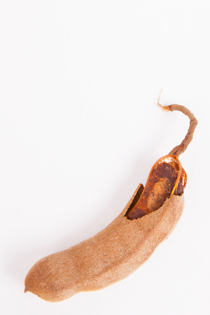 Tamarind  on white paper backgroundの写真素材