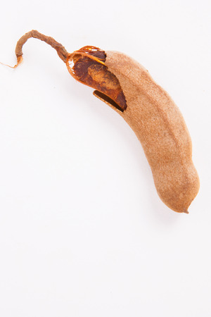 Tamarind  on white paper backgroundの写真素材