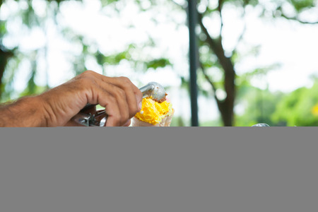 yellow passion fruit and red strawberry ice cream cones