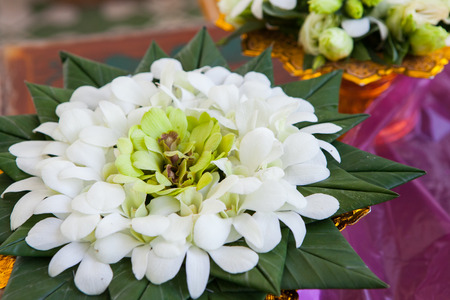 Orchid petals Being prepared is used in wedding ceremonies.の写真素材