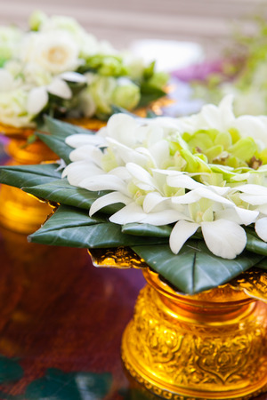 Orchid petals Being prepared is used in wedding ceremonies.の写真素材