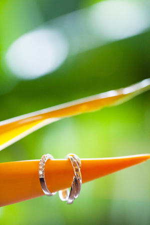 wedding ringsの写真素材