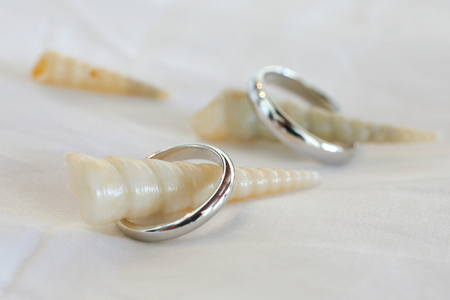 wedding ringsの写真素材