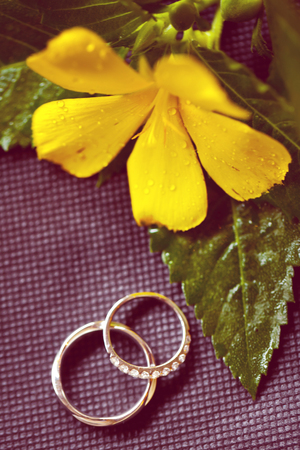 wedding ringsの写真素材