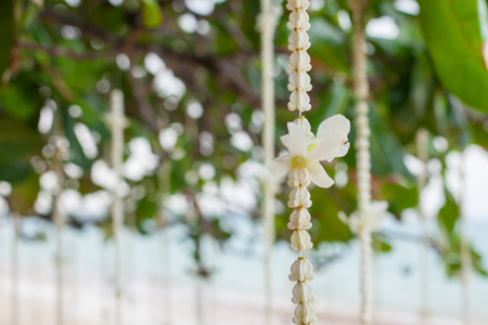 Wedding floral decorations on the beach in Thailandの写真素材
