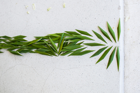 Wedding aisle with flower petals.Wedding at Thailand.の写真素材