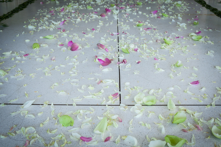 Wedding aisle with flower petals.Wedding at Thailand.の写真素材